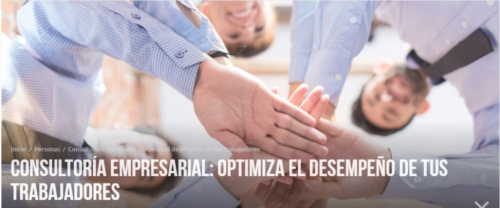 consultoria empresarial