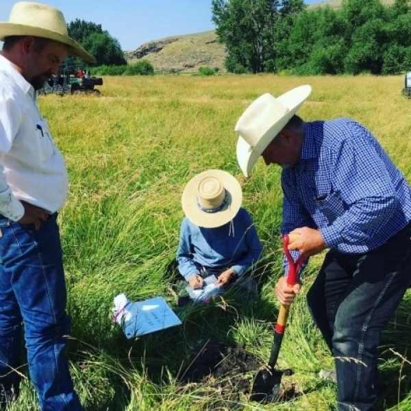 Iniciativas para el cambio climático